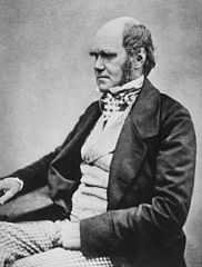 Charles Darwin seated; photo courtesy Maull & Fox